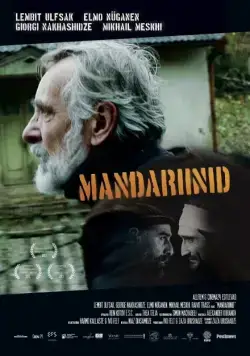 Мандарины / Mandariinid (2013) фильм скачать через торрент в хорошем качестве