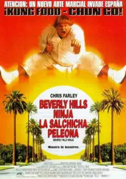 Ниндзя из Беверли Хиллз / Beverly Hills Ninja (1997) фильм скачать через торрент в хорошем качестве
