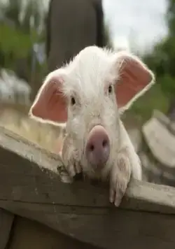 Моя ужасная няня 2 (2012) в хорошем качестве через торрент Моя ужасная няня 2 (2012) фильм в хорошем качестве через торрент