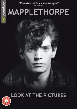 Мэпплторп: только полюбуйтесь / Mapplethorpe: Look at the Pictures (2016) фильм скачать через торрент в хорошем качестве