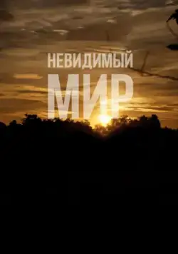 Невидимый мир / Mundo Invisível (2012) фильм скачать через торрент в хорошем качестве