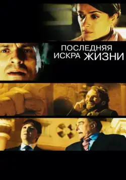 Последняя искра жизни / La chispa de la vida (2011) фильм скачать через торрент в хорошем качестве