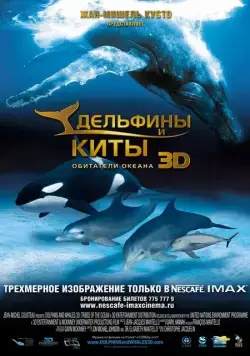 Дельфины и киты 3D / Dolphins and Whales 3D: Tribes of the Ocean (2008) фильм скачать через торрент в хорошем качестве