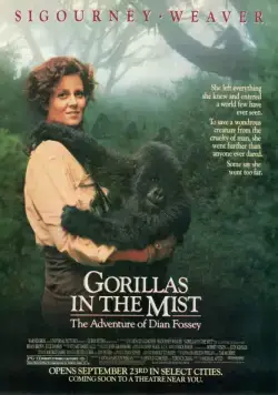 Гориллы в тумане / Gorillas in the Mist: The Story of Dian Fossey (1988) фильм скачать через торрент в хорошем качестве