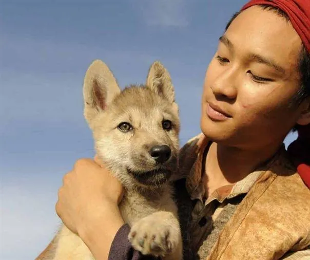 Волк (2009) через торрент скачать Волк (2009) фильм через торрент скачать