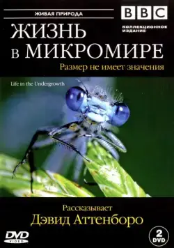 BBC: Жизнь в микромире / Life in the Undergrowth (2005) сериал скачать через торрент в хорошем качестве