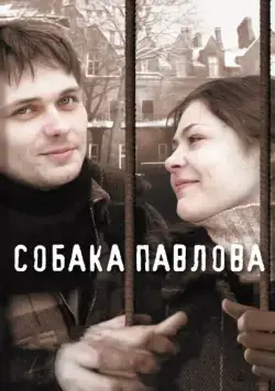 Собака Павлова (2005) сериал скачать через торрент в хорошем качестве