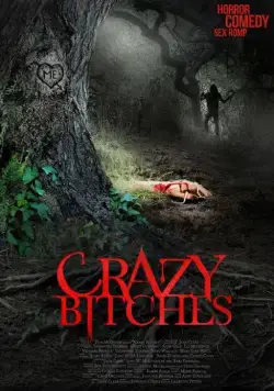 Сумасшедшие суки / Crazy Bitches (2014) фильм скачать через торрент в хорошем качестве