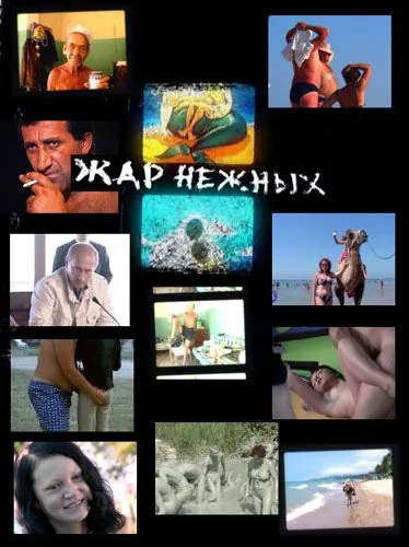 Дикий, дикий пляж. Жар нежных / Zhar nezhnykh. Dikiy, dikiy plyazh (2005) сериал скачать через торрент в хорошем качестве