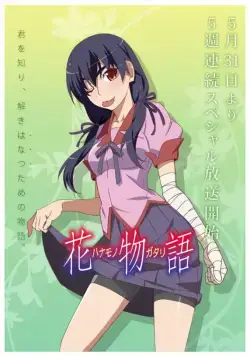 История цветов / Hanamonogatari (2014) сериал мультфильм аниме скачать через торрент в хорошем качестве