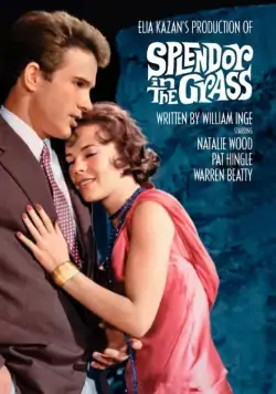 Великолепие в траве / Splendor in the Grass (1961) фильм скачать через торрент в хорошем качестве