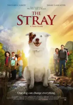 Бродяжка / The Stray (2017) фильм скачать через торрент в хорошем качестве