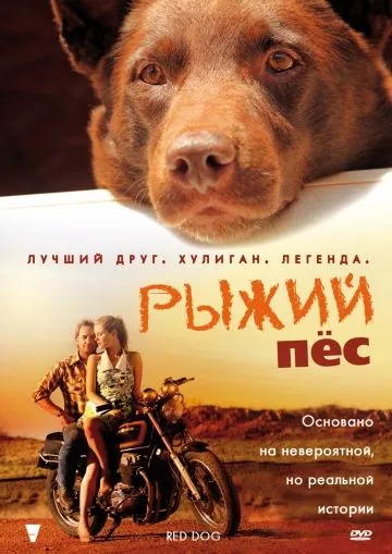 Рыжий пес / Red Dog (2011) фильм скачать через торрент в хорошем качестве
