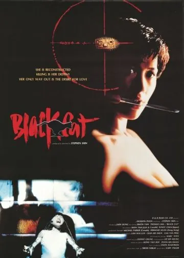 Черная кошка / Black Cat (1991) фильм скачать через торрент в хорошем качестве