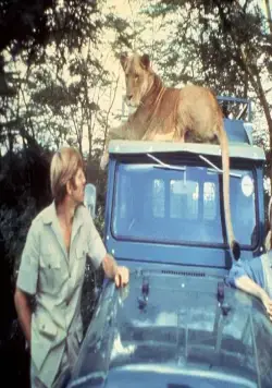 Рожденная свободной (1966) через торрент бесплатно Рожденная свободной (1966) фильм через торрент бесплатно