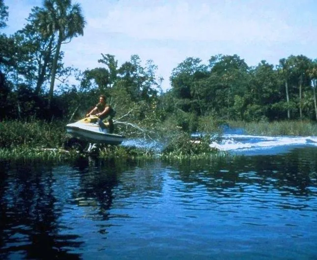 Остров МакКинси (1998) в хорошем качестве через торрент Остров МакКинси (1998) фильм в хорошем качестве через торрент