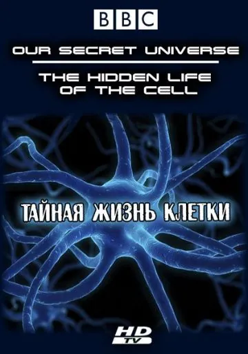 Внутренняя вселенная: Тайная жизнь клетки / Our Secret Universe: The Hidden Life of the Cell (2012) фильм скачать через торрент в хорошем качестве