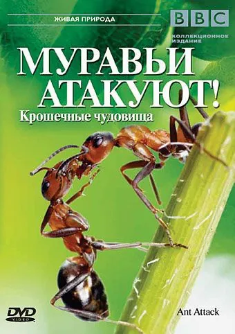 BBC: Муравьи атакуют / Ant Attack (2006) фильм скачать через торрент в хорошем качестве