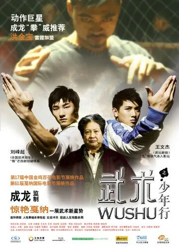 Ушу / Wushu (2008) фильм скачать через торрент в хорошем качестве