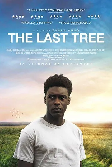 Скачать Последнее дерево / The Last Tree (2019) фильм через торрент на русском