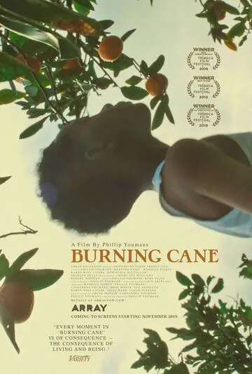 Горящий тростник / Burning Cane (2019) фильм скачать через торрент в хорошем качестве