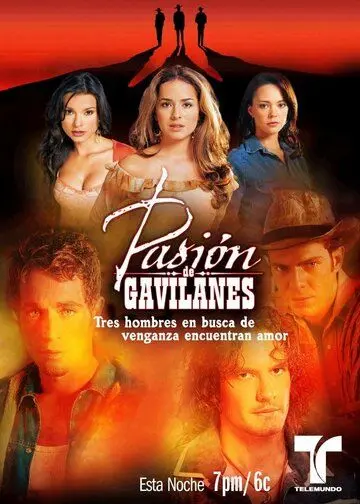 Тайная страсть / Pasion de gavilanes (2003) сериал скачать через торрент в хорошем качестве