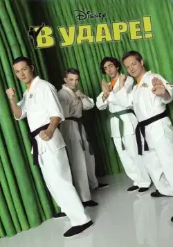 В ударе / Kickin' It (2011) сериал скачать через торрент в хорошем качестве