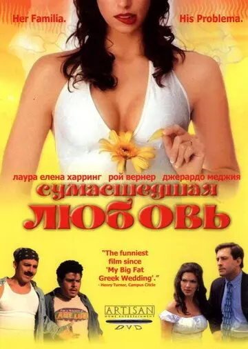 Сумасшедшая любовь / Mi Casa, Su Casa (2003) фильм скачать через торрент в хорошем качестве