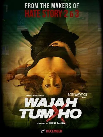 Ты всему причина / Wajah Tum Ho (2016) фильм скачать через торрент в хорошем качестве