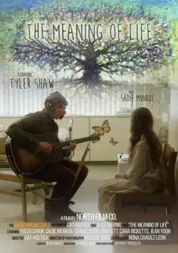 Смысл жизни / The Meaning of Life (2017) фильм скачать через торрент в хорошем качестве