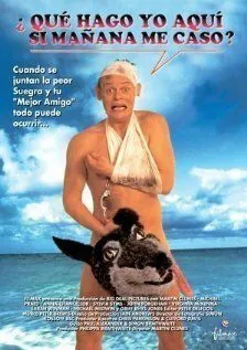 Особенности холостяцкой вечеринки / Staggered (1994) фильм скачать через торрент в хорошем качестве