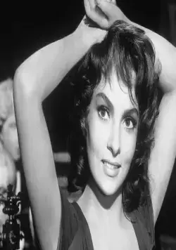 Осторожно! Бандиты! (1951) через торрент скачать Осторожно! Бандиты! (1951) фильм через торрент скачать