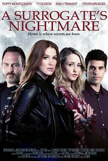 Суррогатный кошмар / A Surrogate's Nightmare (2017) фильм скачать через торрент в хорошем качестве