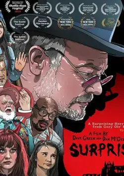 Сюрприз / Surprise (2018) фильм скачать через торрент в хорошем качестве