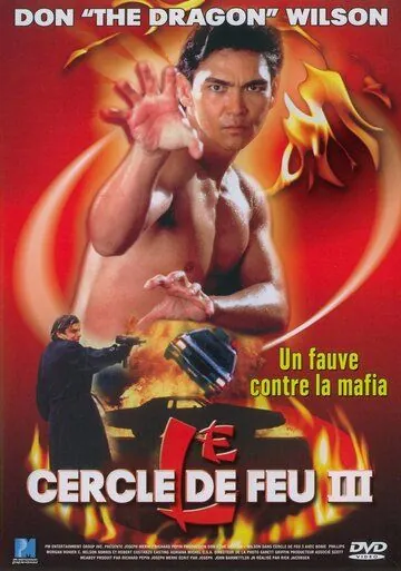 Огненное кольцо 3: Удар льва / Lion Strike (1994) фильм скачать через торрент в хорошем качестве