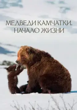 Медведи Камчатки. Начало жизни (2018) фильм скачать через торрент в хорошем качестве