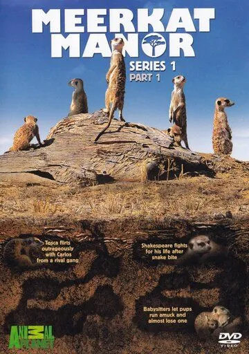 Поместье сурикат / Meerkat Manor (2005) сериал скачать через торрент в хорошем качестве