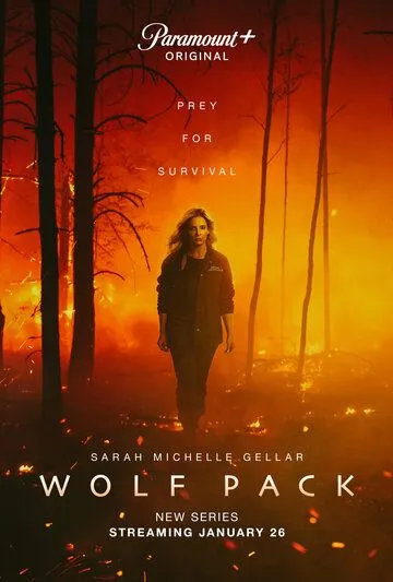 Волчья стая / Wolf Pack (2023) сериал скачать через торрент в хорошем качестве