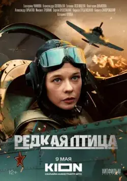 Редкая птица (2024) сериал скачать через торрент в хорошем качестве