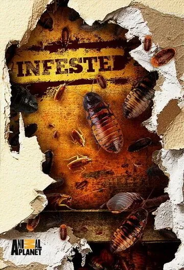 Вторжение паразитов / Infested! (2011) сериал скачать через торрент в хорошем качестве