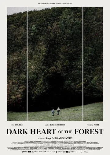 Темное сердце леса / Le coeur noir des forêts (2021) фильм скачать через торрент в хорошем качестве
