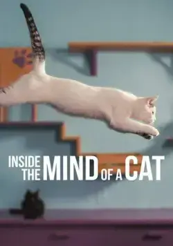 Внутри разума кошки / Inside the Mind of a Cat (2022) фильм скачать через торрент в хорошем качестве