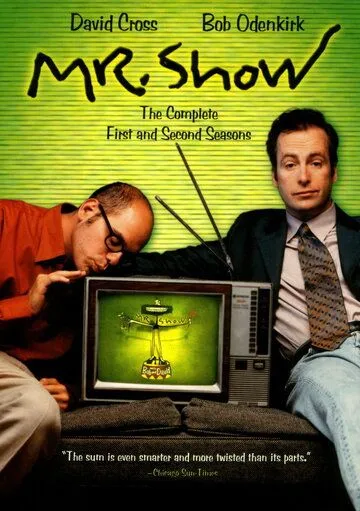 Господин Шоу с Бобом и Дэвидом / Mr. Show with Bob and David (1995) сериал скачать через торрент в хорошем качестве