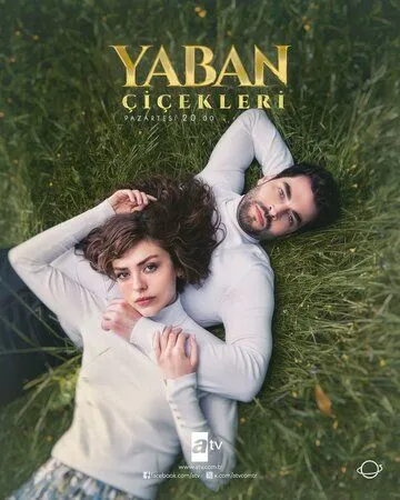 Дикие цветы / Yaban Çiçekleri (2024) сериал скачать через торрент в хорошем качестве