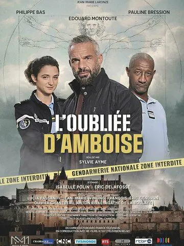 Пропавшая в Амбуазе / L'oubliée d'Amboise (2022) фильм скачать через торрент в хорошем качестве