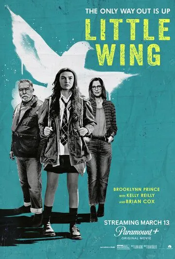 Маленькое крылышко / Little Wing (2024) фильм скачать через торрент в хорошем качестве