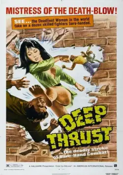 Леди Вихрь / Tie zhang xuan feng tui (1972) фильм скачать через торрент в хорошем качестве