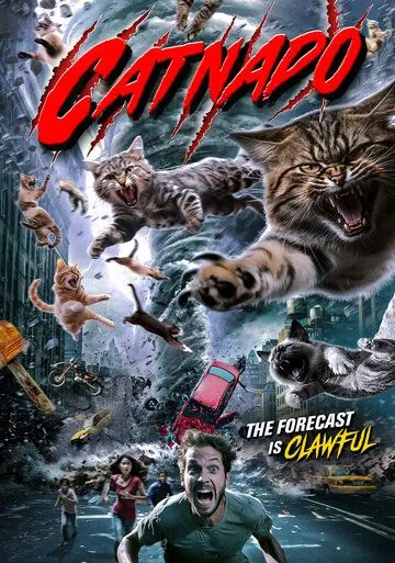 Кошачий торнадо / Catnado (2024) фильм скачать через торрент в хорошем качестве