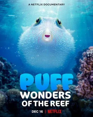 Чудеса кораллового рифа / Puff: Wonders of the Reef (2021) фильм скачать через торрент в хорошем качестве