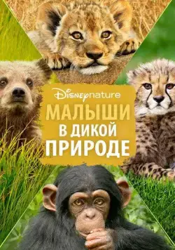 Малыши в дикой природе / Growing Up Wild (2015) фильм скачать через торрент в хорошем качестве